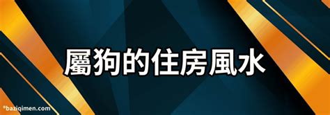 屬狗的床位|【屬狗臥室風水】屬狗人的床位擺放方位介紹 